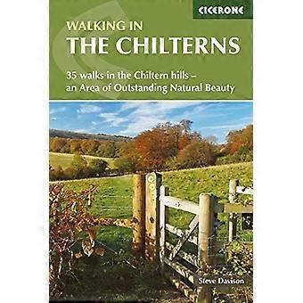 Kävely alueella the Chilterns: 35 kävelee Chiltern hills - Area of Outstanding Natural Beauty