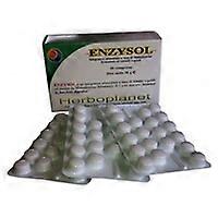 Enzysol 24g 60 tablets