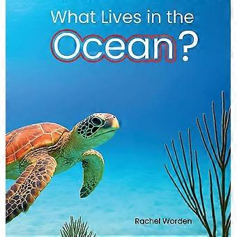 What lives in the ocean habitat series
