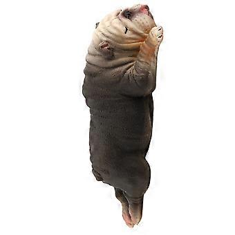 Sleeping Bulldog Figurine Ornament Dog Statue Decor Children Simulation Dog Toy