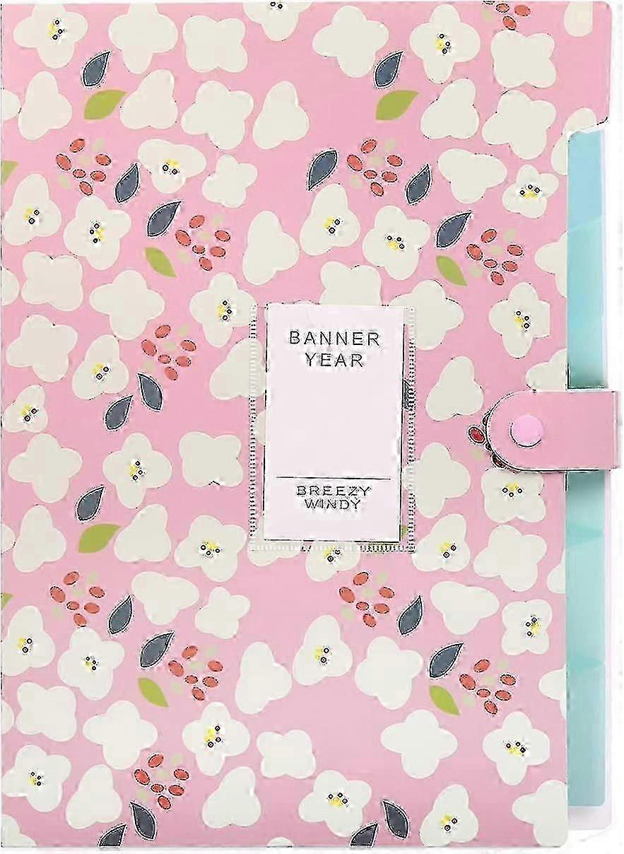 Expandable A4 File Folder With 6 Pockets