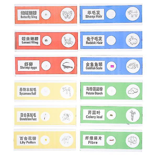 36pcs Plastic Prepared Microscope Slides Insects Plants Sample Microscope Slides