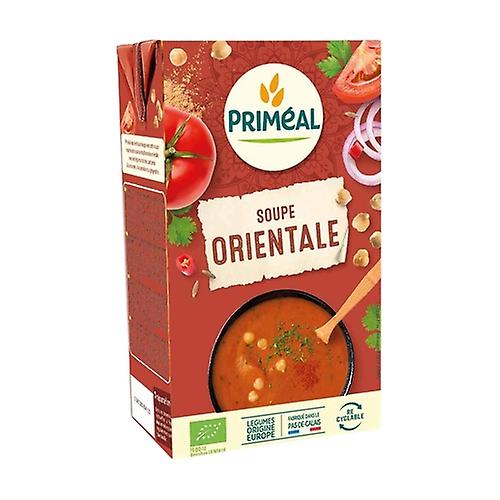 oriental soup 1 L