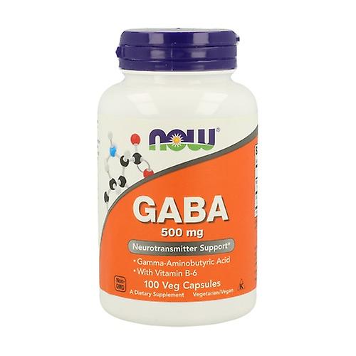 GABA 500 mg 100 capsules (500mg)