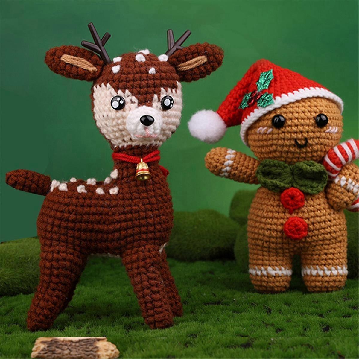 Beginner Crochet Kit Succulent Christmas Series Crochet Kits with Instruction Tutorials Video Tutorials Yarn Hook Needle