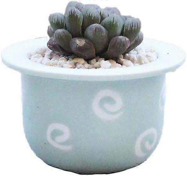 多肉植物のためのミニ植木鉢 - モダン - サボテン - ジューシーな植木鉢 - インテリア、家庭、オフィスの装飾(緑)