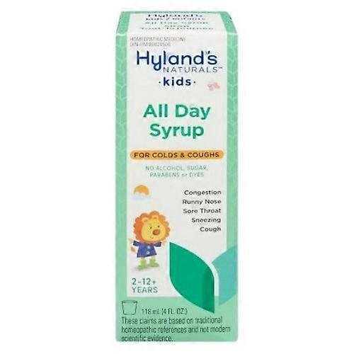 Hylands (Standard Homeopathic) 4KIDS All Day Syrup, 118 Ml (Pack of 3)