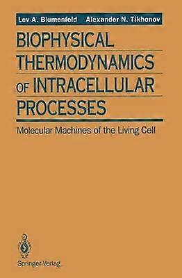 Biofysisk termodynamik af intracellulære processer