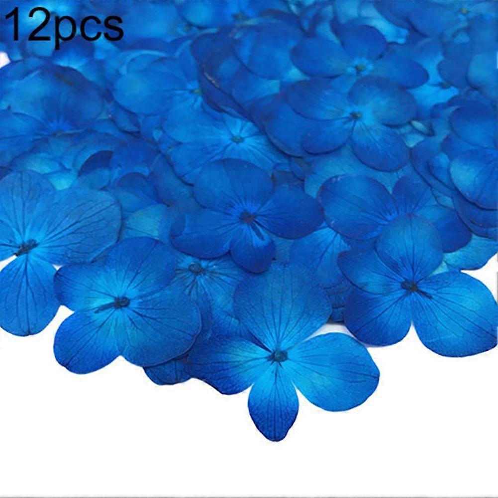 Yousheng Dried Flower 12Pcs Pressed Plant Specimen Epoxy Resin Phone Decor DIY Accessory