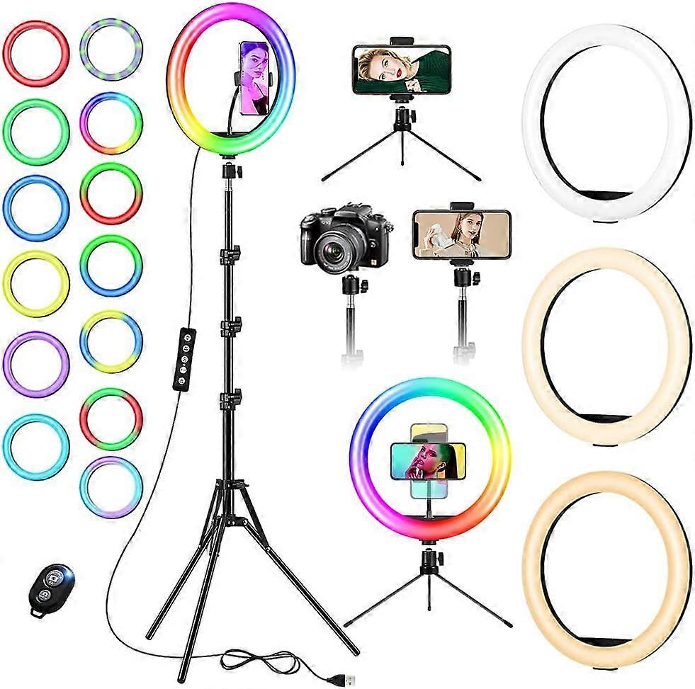 Ein Set - Fülllichtstativ - 12-Zoll-RGB-Fülllicht + Neiger + Handyclip + USB-Fernbedienung