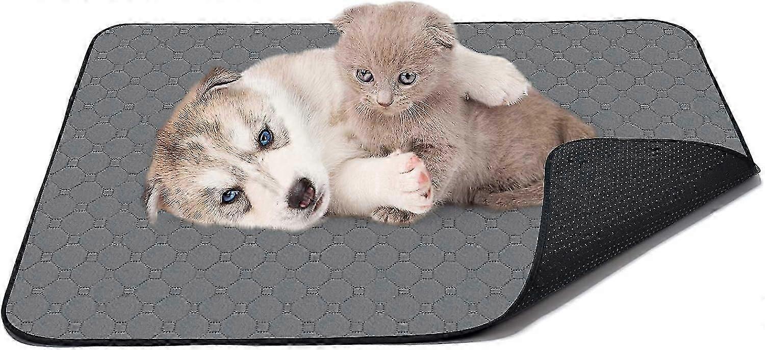 Dog Mat, 100 * 70 Pee Pads Super Absorbent Reusable Waterproof Dog Training Mats