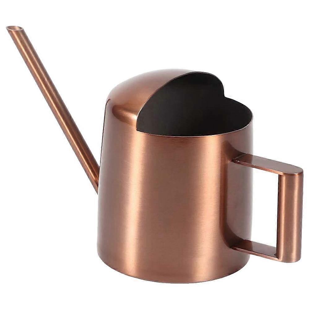Stainless Steel Watering Can with Long Spout for Indoor Plants Practical and Durable Light Brown