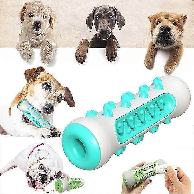 Teeth Cleaning Dog Chew Toy Tough Dog Puppy Toothbrush Rubber Chewers Toy Bone