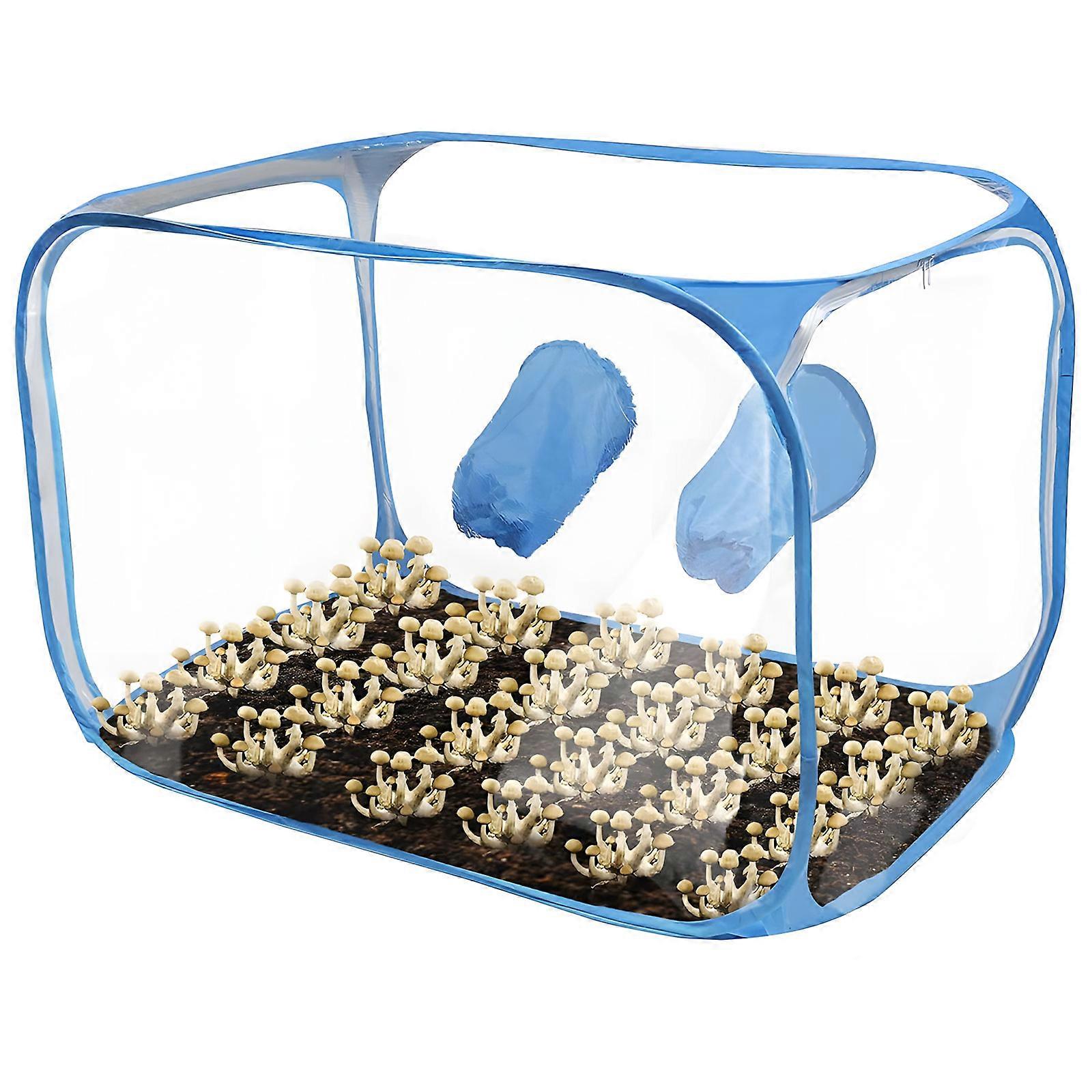 Lab Ready Collapsing Ventilation Chamber Mushroom Cultivation Container Closed Biography Security Environmental Friendly Permanent Plan  White