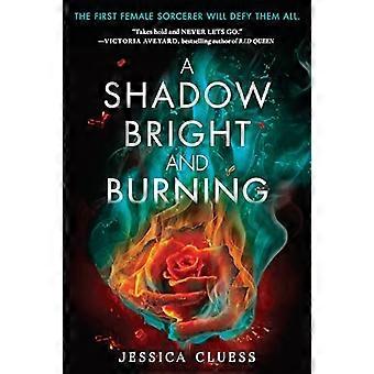 Een Bright Shadow en branden (Koninkrijk on Fire, boek 1) (Koninkrijk in brand)