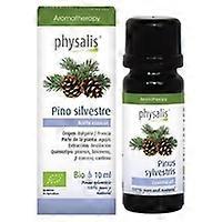 Wild Pine Essence Bio 10 ml