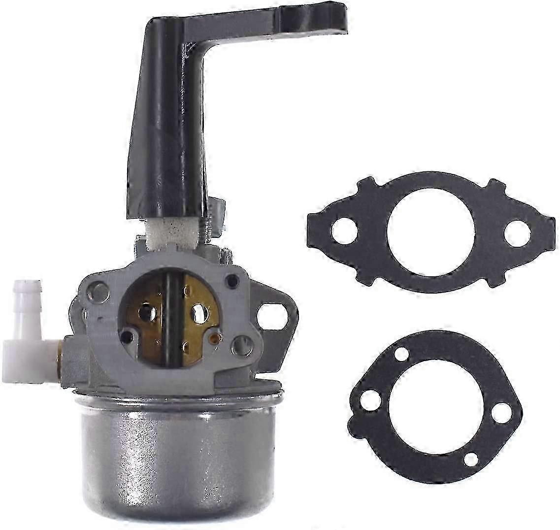 Briggs Carburetor Kit Horizontal Engine