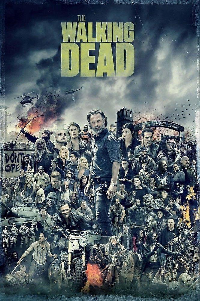 De Walking Dead puzzel: Finale ZRC003.