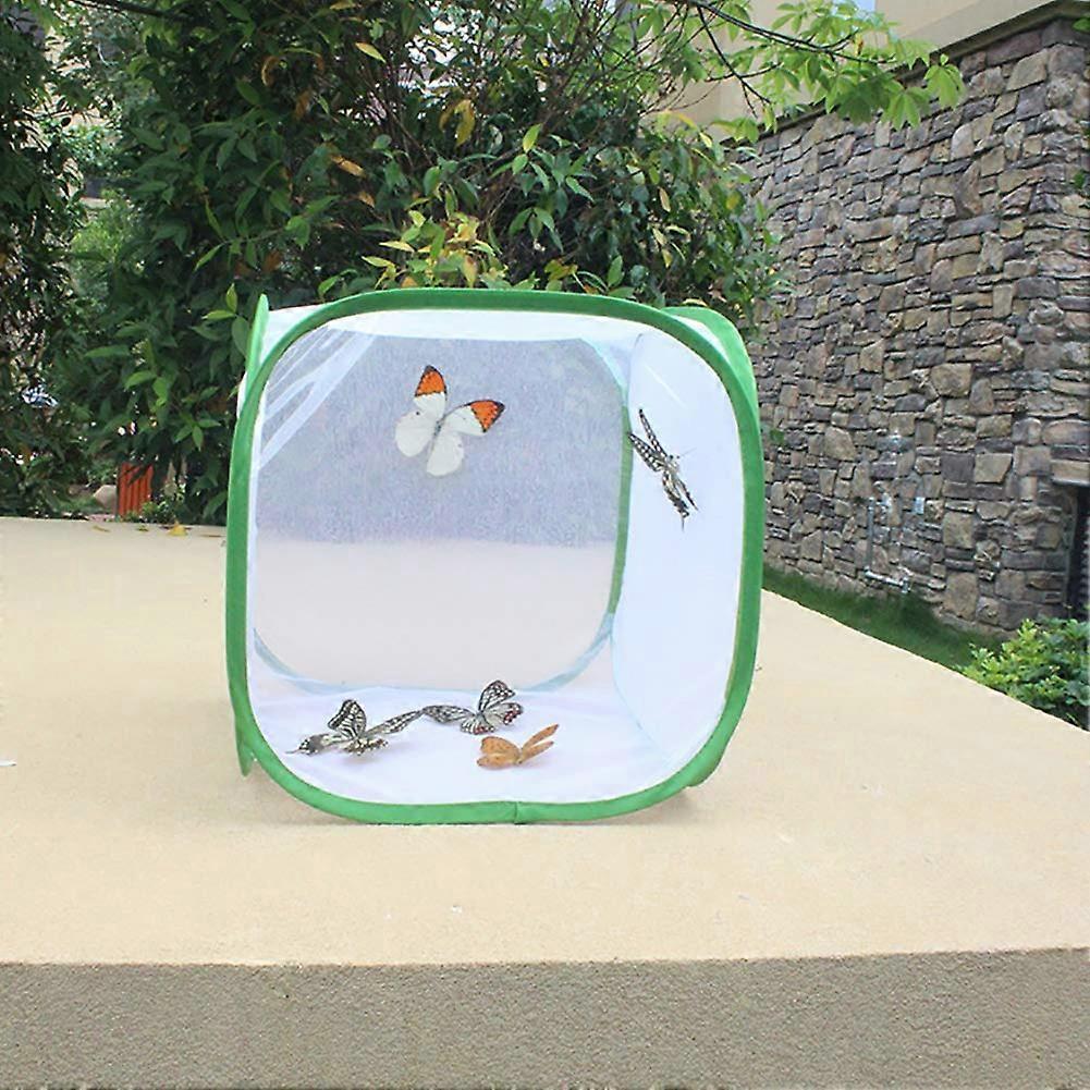 Compact Butterfly Rearing Cage with Zipper