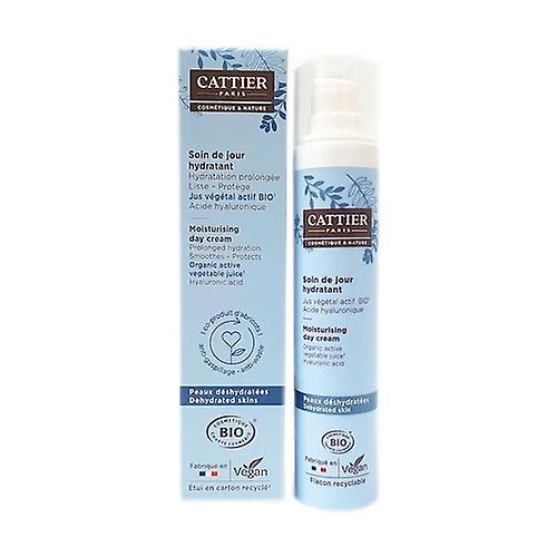 Moisturizing day cream face neck and neckline 50 ml of cream