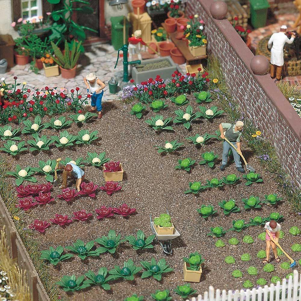 Busch BUS1213 Cabbage & Lettuce OO (1/76) Plants & flowers Scale model