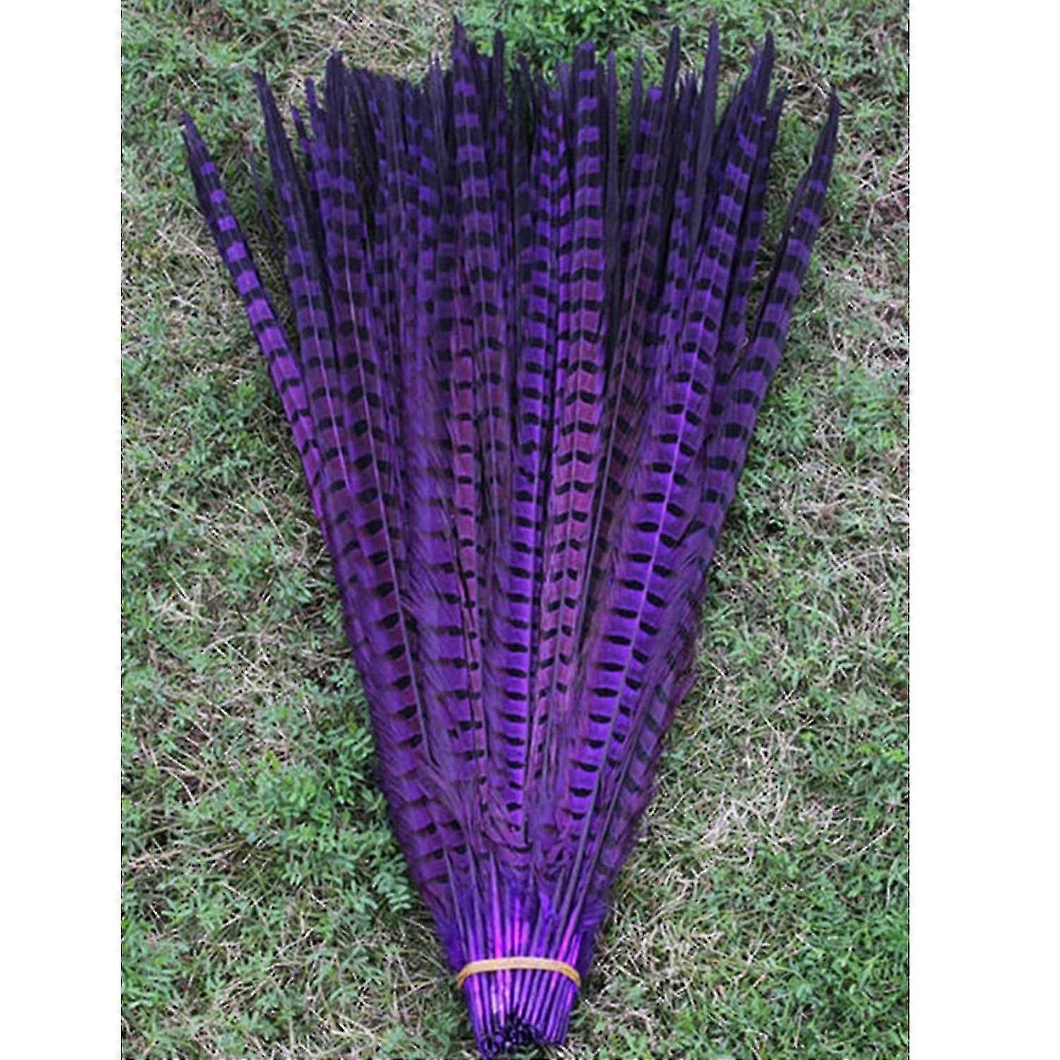 Purple 10 root beautiful pheasant feather multicolor handwork ornaments 30-35cm z32677