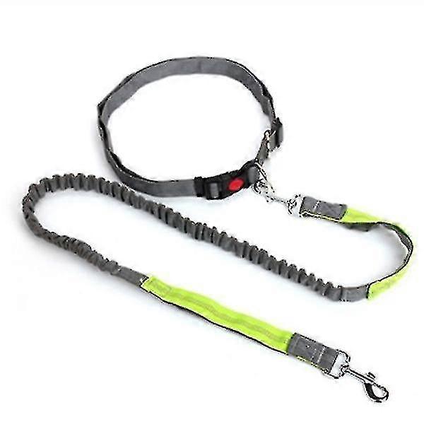 Traction Rope Dog Leash(Gray And Green)