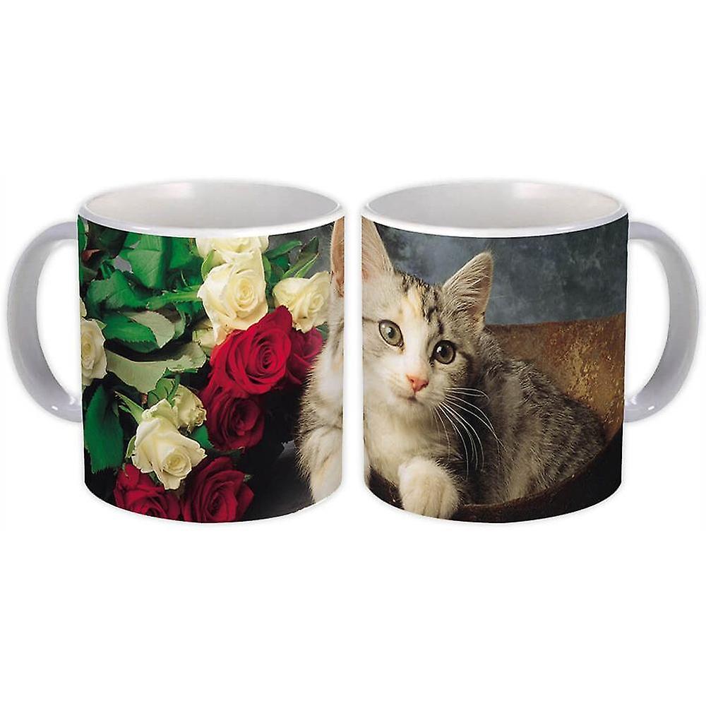 Hediye Kupa: Kedi Hayvan