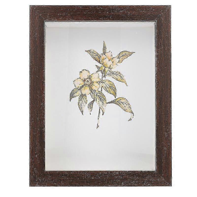 Shadow Box Case, Display Frame for Keepsakes, Memorabilia Showcase