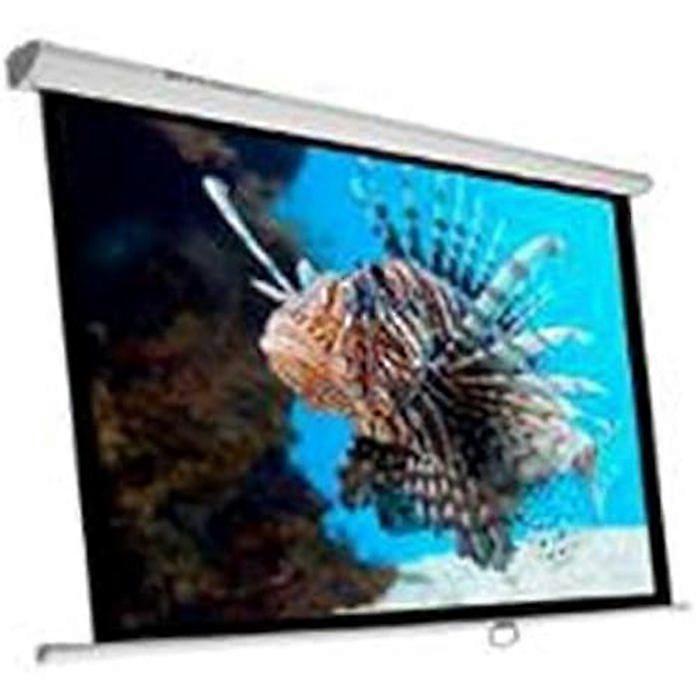 Leinwand - PHOENIX TECHNOLOGIES - PHPANTALLA-240 - 135 Zoll - Strapazierfähiger Stoff - Handbuch