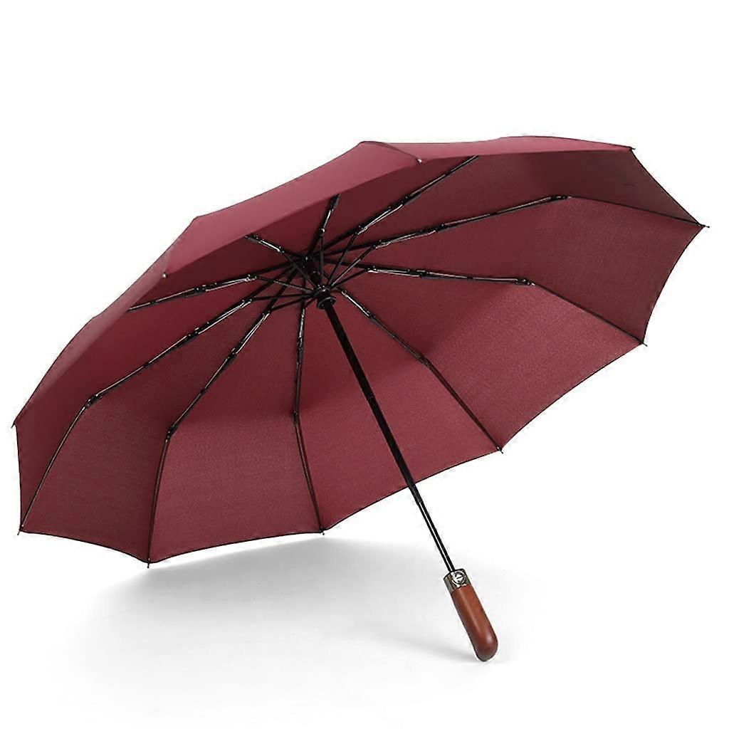 Automatic Travel Umbrella for Men, 10-Rib Windproof Design, Portable Business Umbrella, Color: F