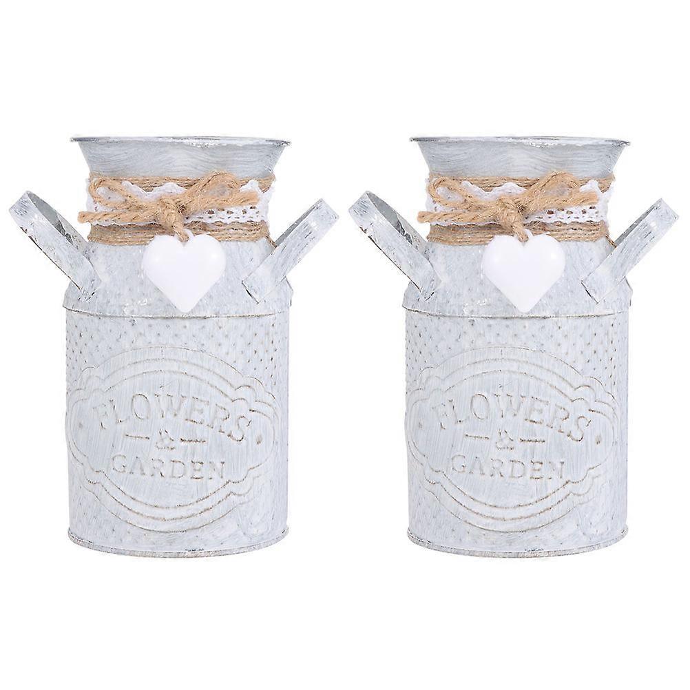 Rugged Iron Vases, Stylish Plant Holders Adding Charm to Any Environment