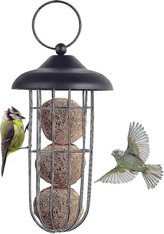 Bird Feeder, Squirrel Proof Metal Bird Feeder Iron Bird Feeder Automatic Hanging Fat Ball Holder Feeding Tool