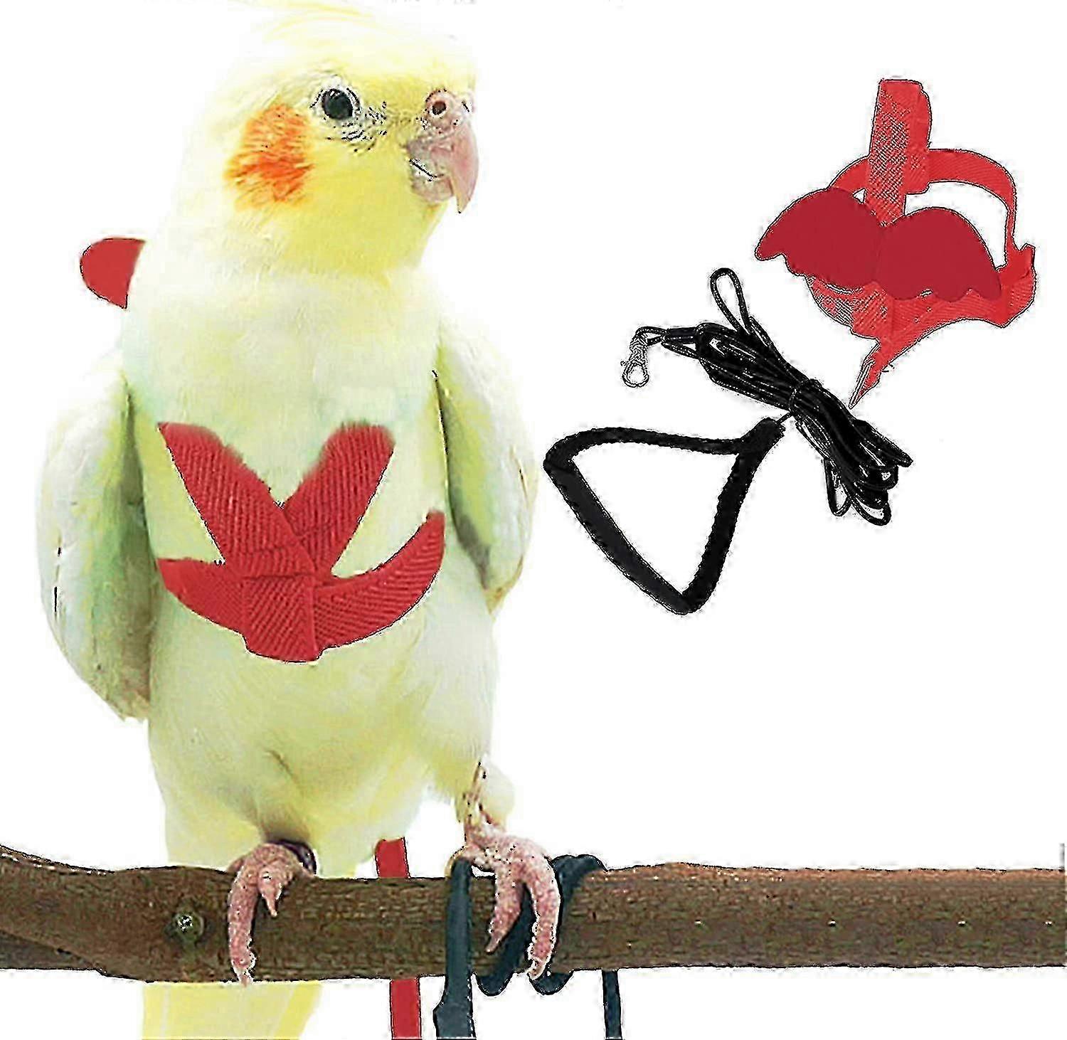 حزام طيور قابل للتعديل ومقود 80 بوصة للتدريب على الطيران في الهواء الطلق ، مناسب بشكل آمن للببغاوات الكوكاتيل