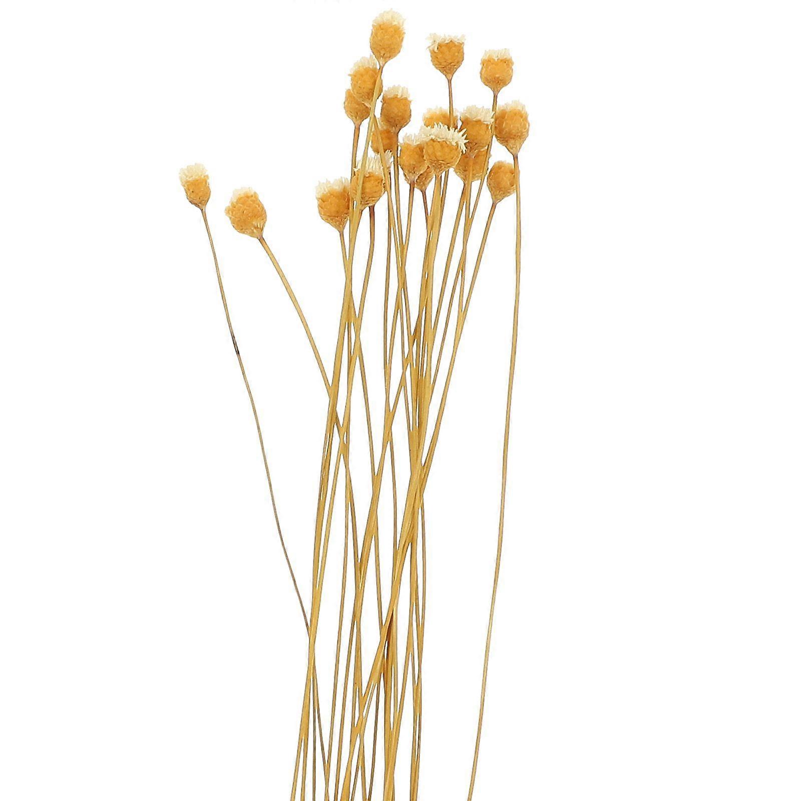 20pcs Flower Reed Diffuser Stick Diffuser Refills Essential Oil Diffuser Stick for SPA