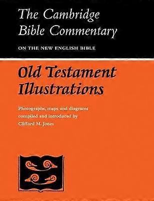 CBC Old Testament Illustrations Cambridge Bible Commentaries on the Old Testament