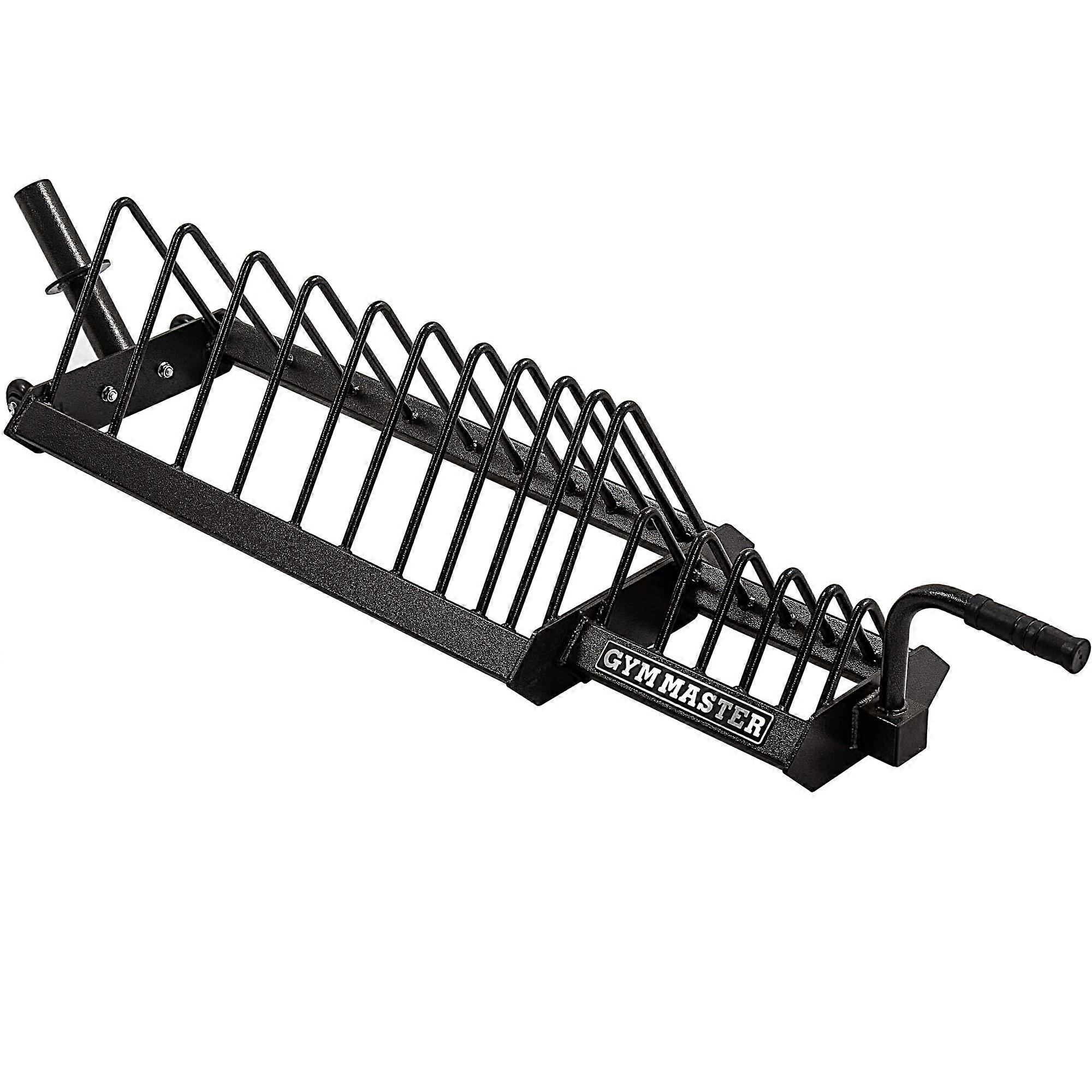 Weight Plate Storage Rack with Wheels, Easy Loading, Bumper Plate Holder and Fractional Section