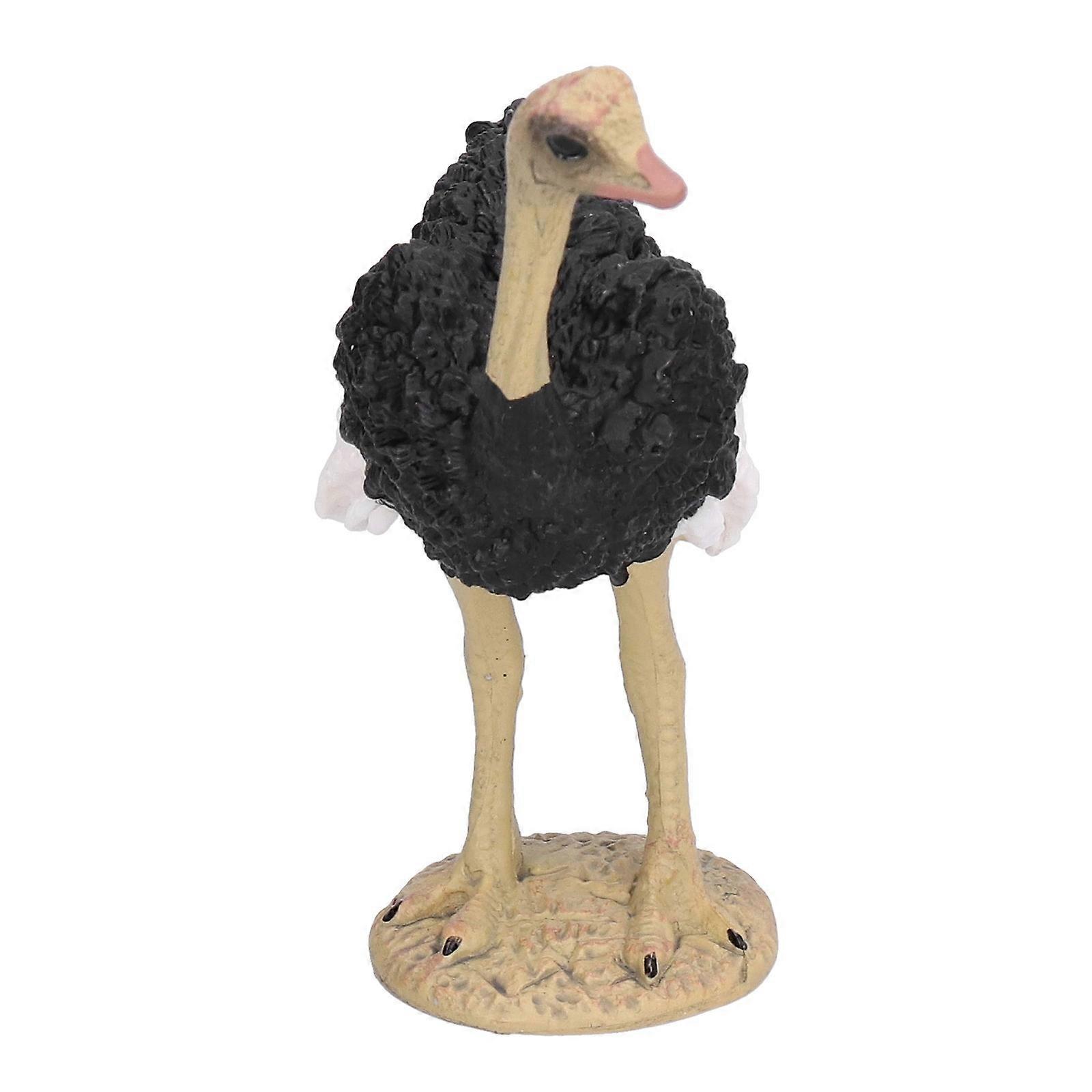 Highly Simulation Ostrich Model Educational Prop For Children