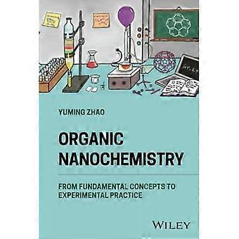 Organic Nanochemistry: from Fundamental Concepts to Experimental Practice