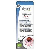 Echinacea Forte Extract Bio 100 ml