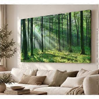 Green Forest Landscape Woodland Nature Landscape jigsaw puzzle  SIO005