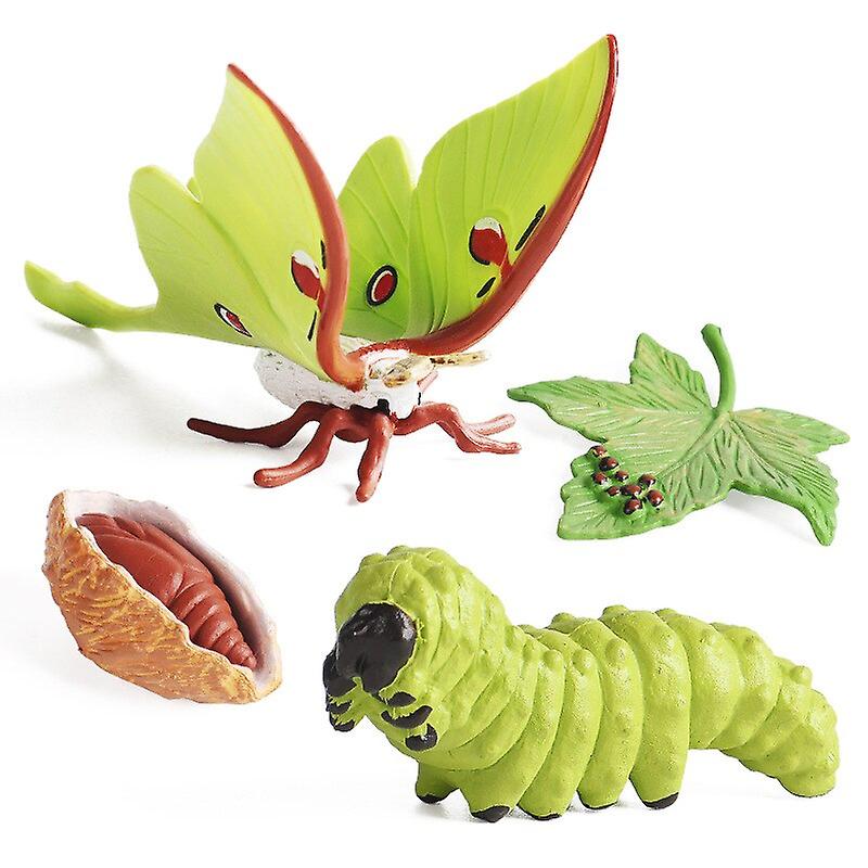 Copii Jucarii educative cognitive simulare animale insecte Model Mini animal fluture ciclu de creștere Ornamente