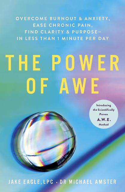 The Power Of Awe by Dr Michael Amster Paperback