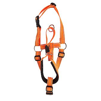 Headcollar Dog Muzzle Adjustable Prevent Biting Barking Breathable Nylon Dog Mouth Guard for Walking Training Orange XL