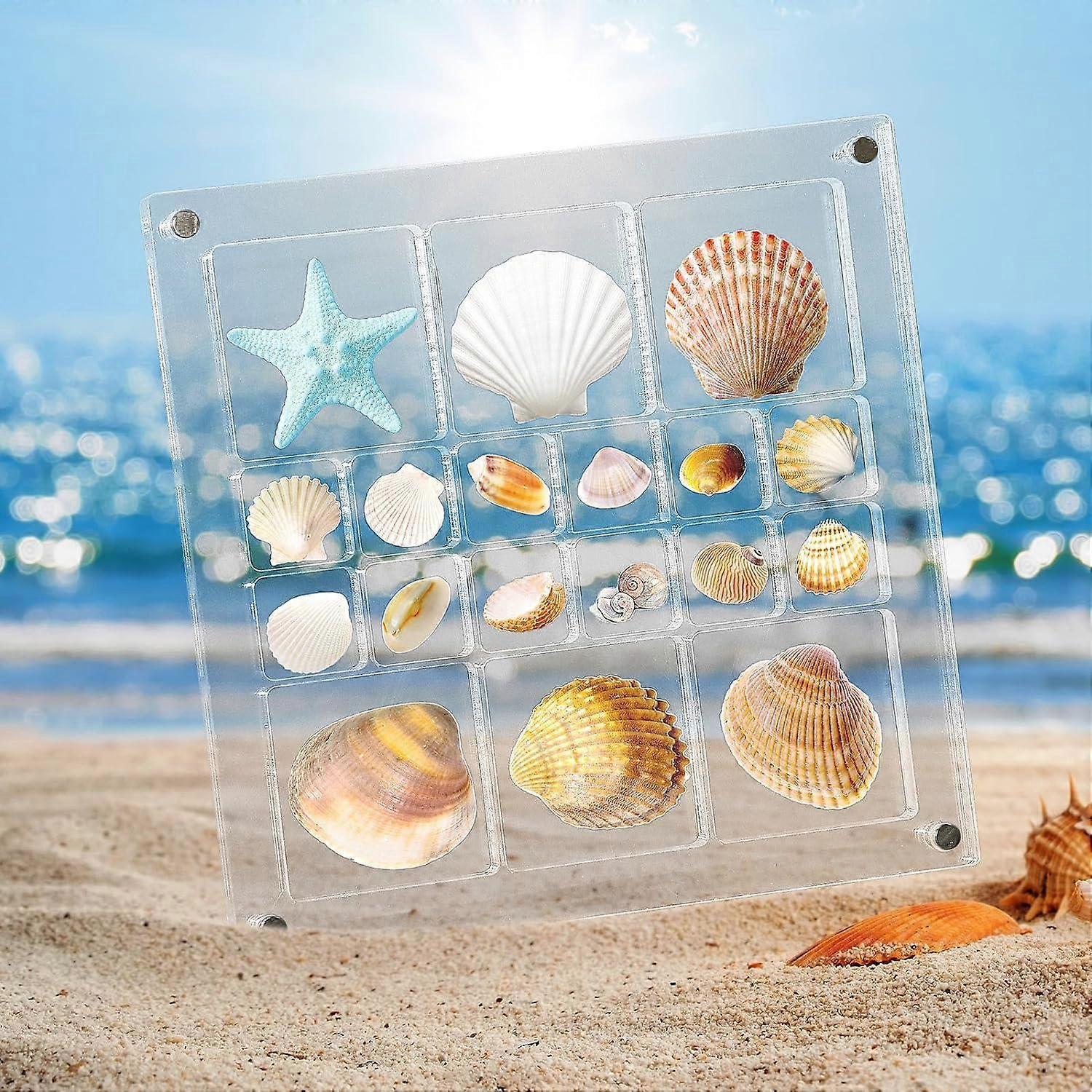 Acryl magnetische zeeschelp Display Box, Seashell Collection Box en sieraden Display Box, collectie van schelpen voor Display (Blend grids, vierkant), T