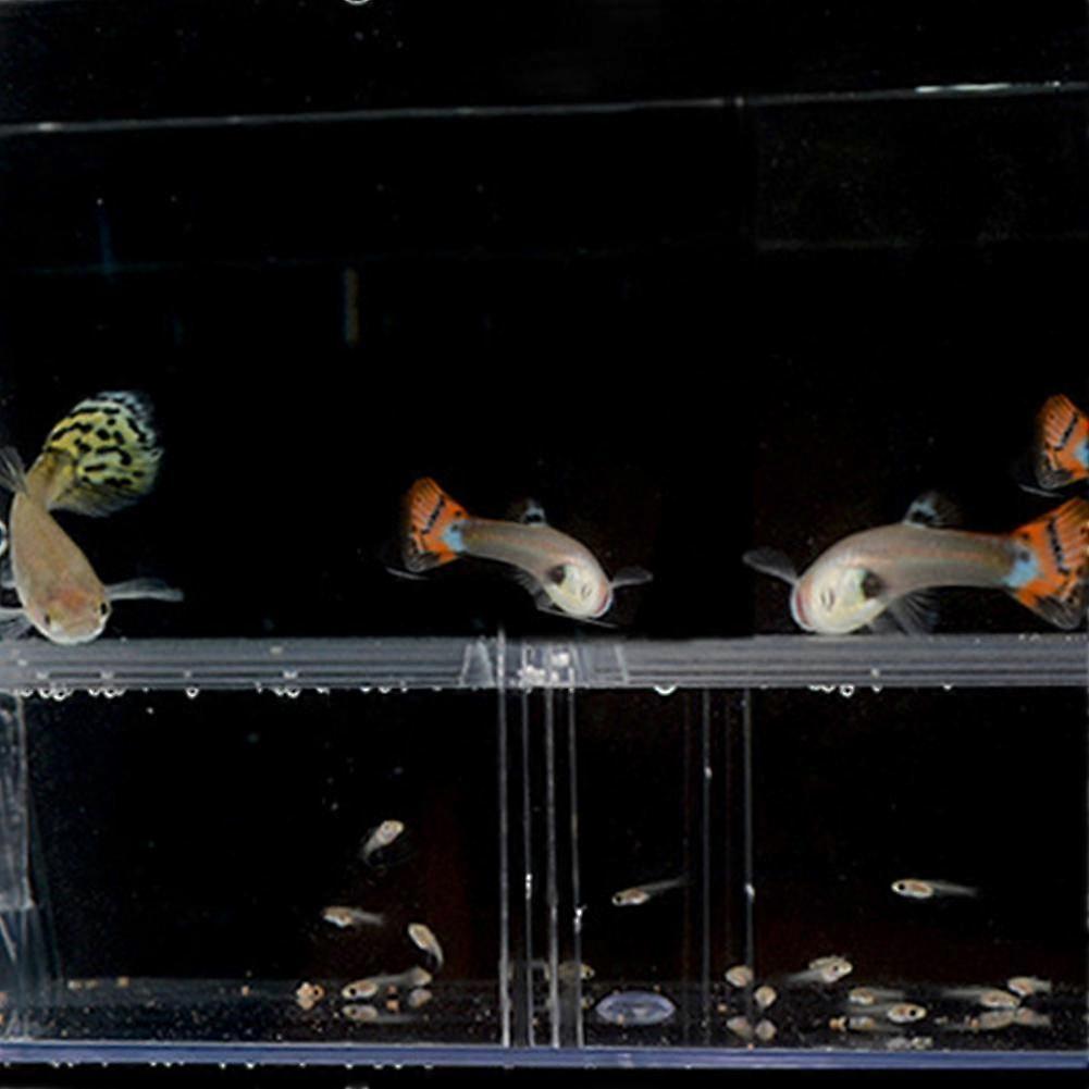 Large (B) $Fish fry breeding acrylic double-layer self-floating guppy hatching box incubator isolation box fighting fish box large