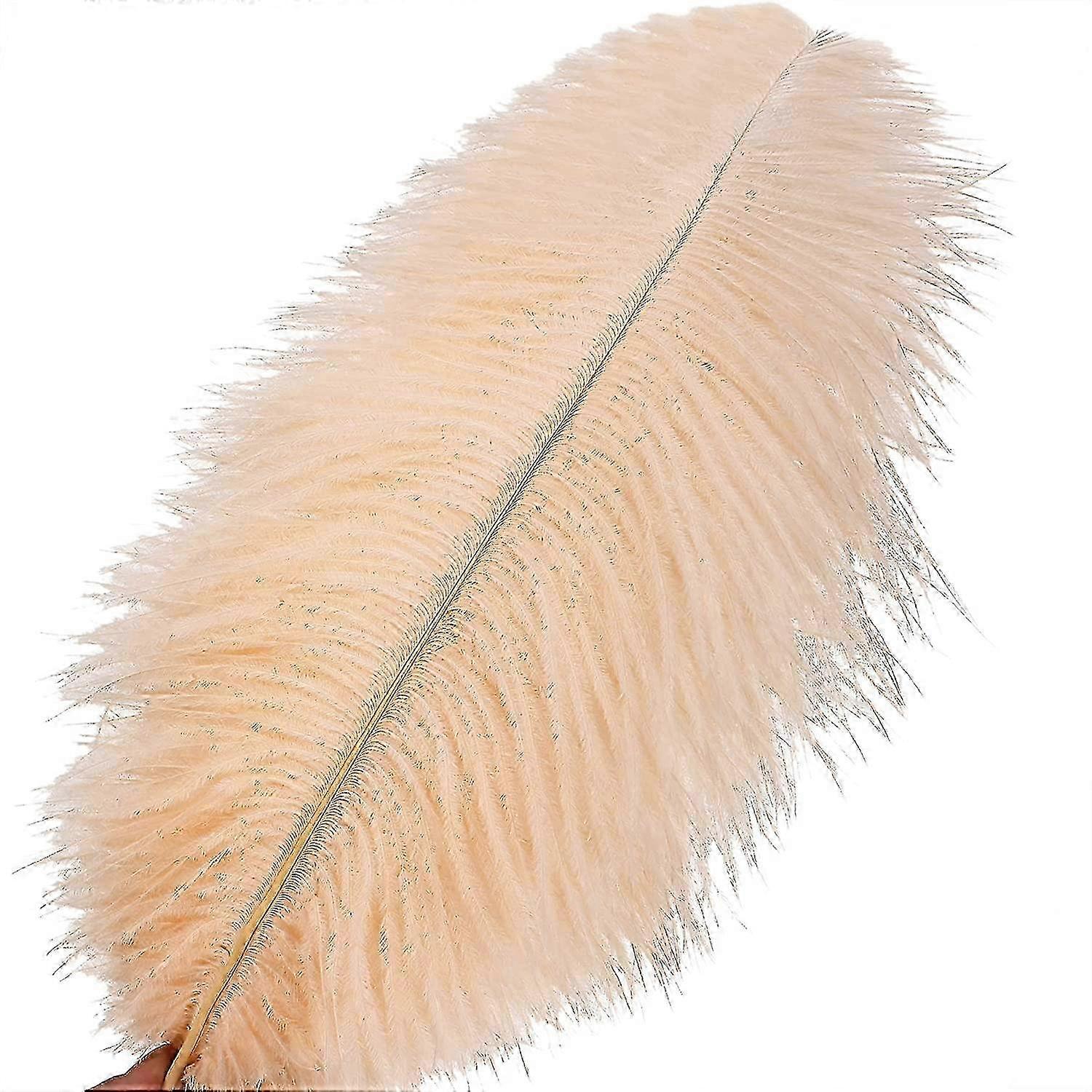 50pcs Ostrich Feathers For Decorations