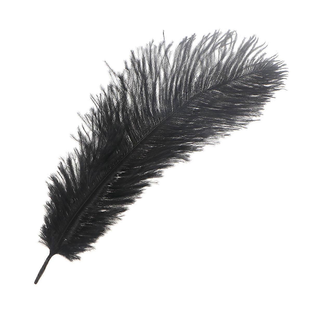 Ostrich Decorative for DIY Craft Projects 6Pcs Black