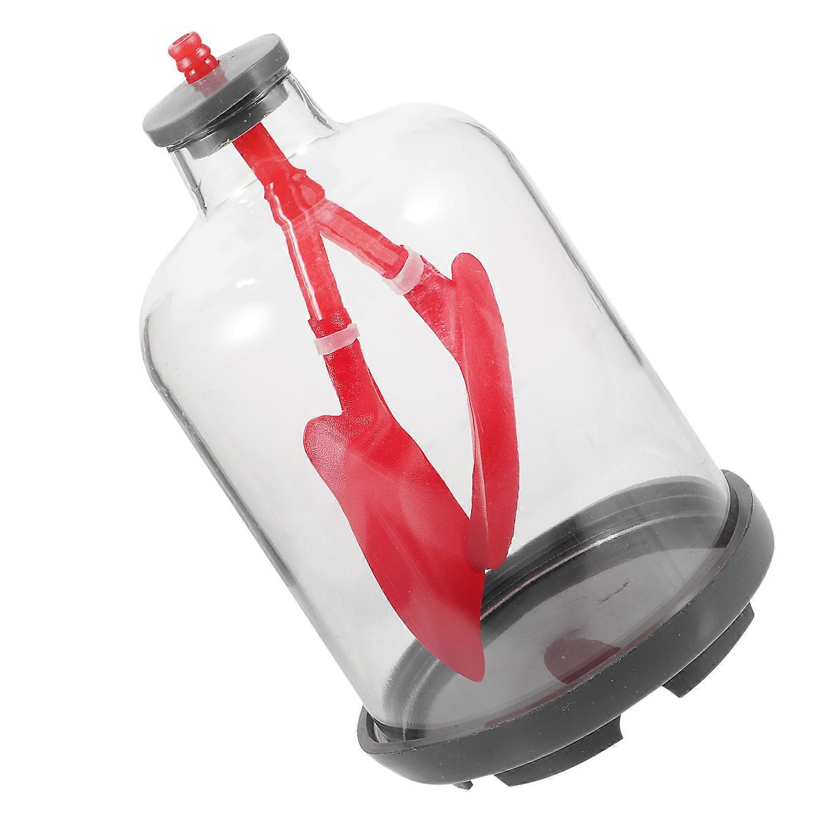 Lung Function Demonstration Model Educational Lung Breathing Model Physiological Teaching Aid