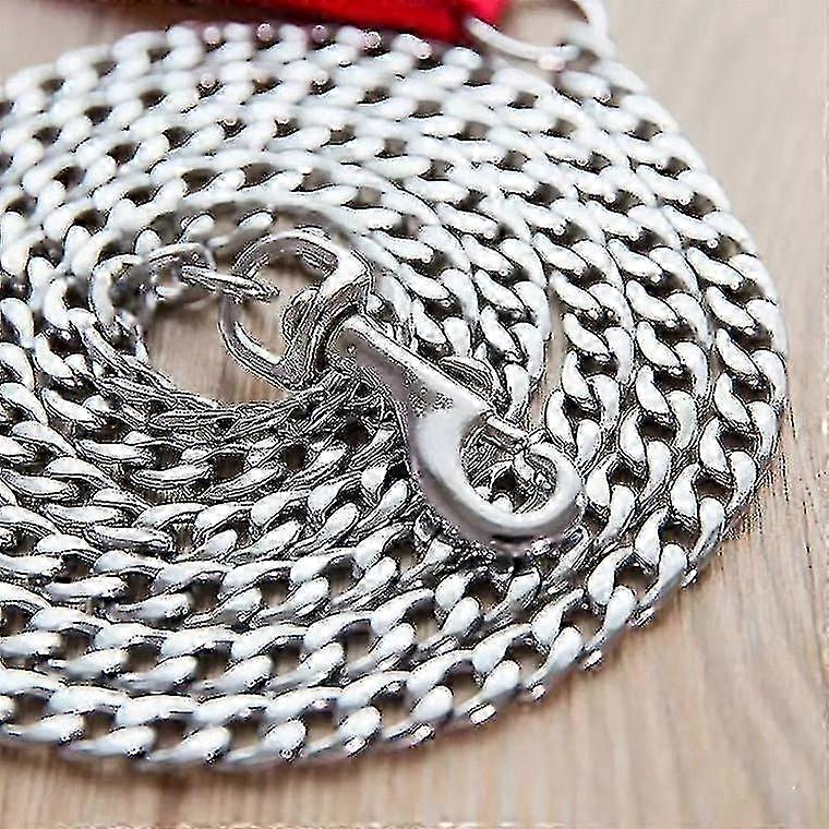 Durable 1.8M Flat Iron Dog Leash